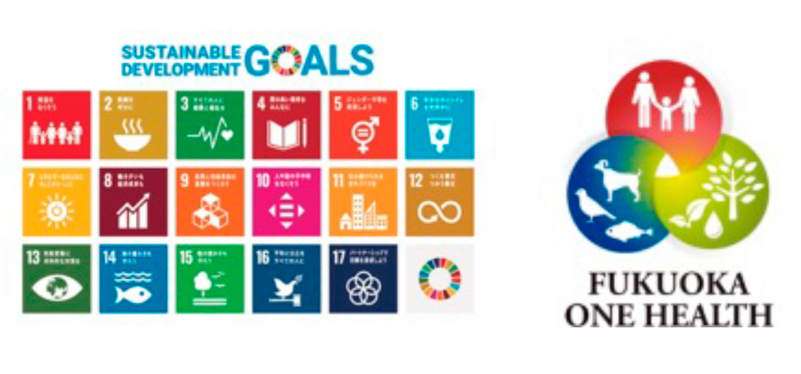 <スポーツとSDGs> VNL2024福岡大会の意義 I SDGs達成のためのヒント