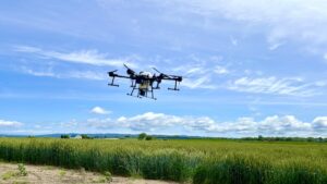 AIは、地球を修復できるか―ネイチャーポジティブを実装する「知ノベーション」の最前線